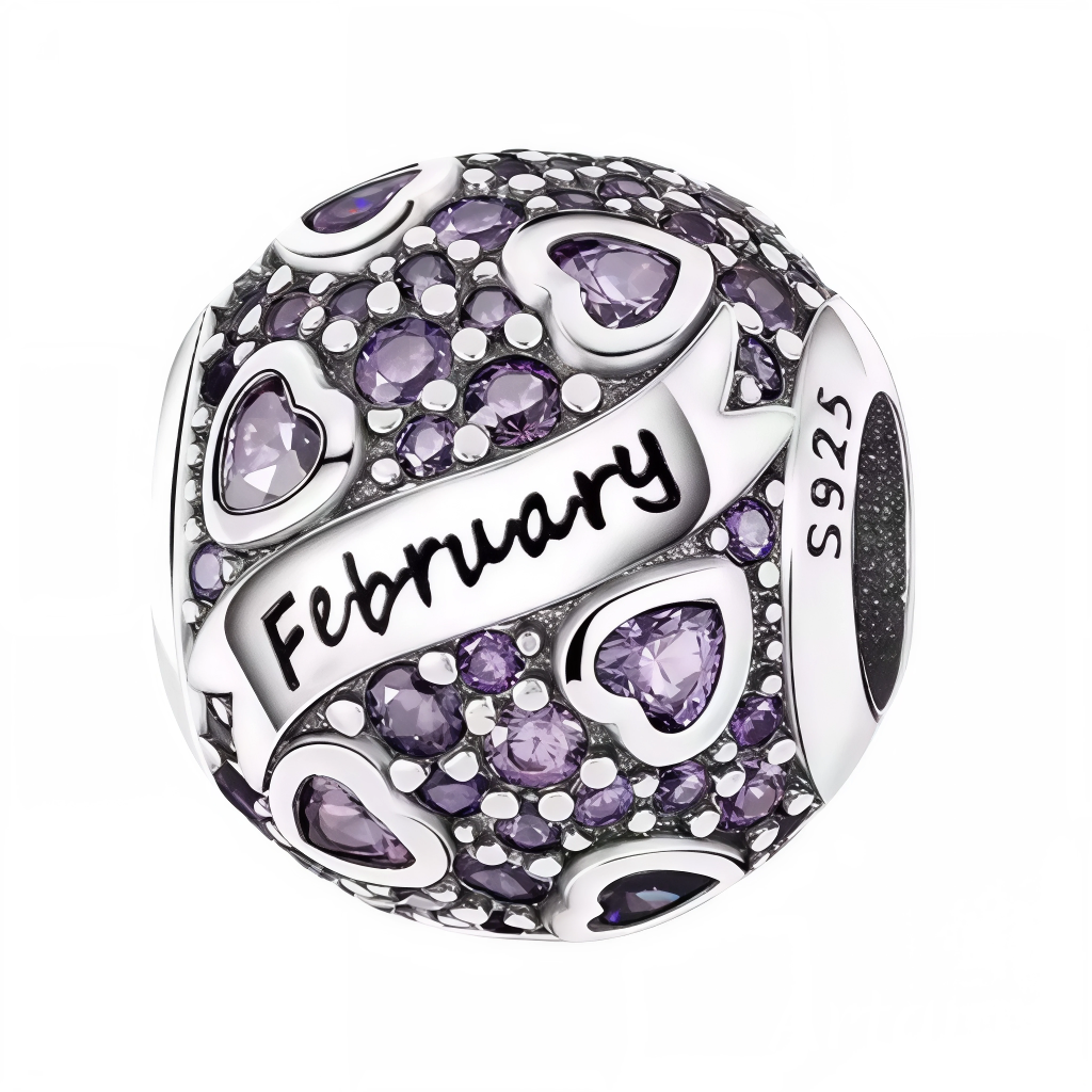 Célébrez votre mois de naissance avec élégance grâce à ce charm rond, orné de strass violettes éclatants, symbole de février. Réalisé en argent 925, ce bijou délicat et raffiné est parfait pour personnaliser votre bracelet ou offrir un cadeau significatif à une personne chère née en février.