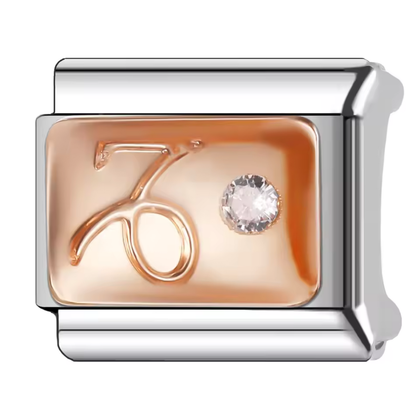 Silver and Rose Gold Italian Charm – Astrological Sign