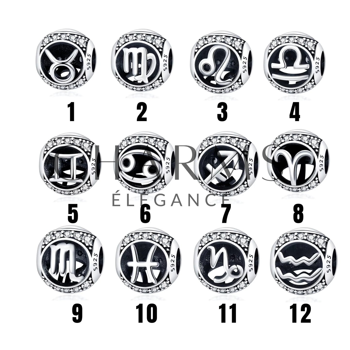 Charm - Signe Astrologique (12 Signes Astro Disponibles) | Version 1 - Charms Élégance