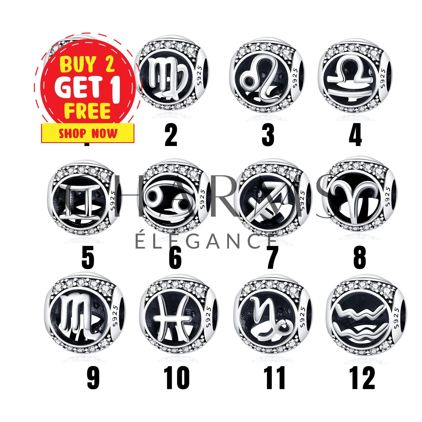 Charm - Signe Astrologique (12 Signes Astro Disponibles) | Version 1 - Charms Élégance