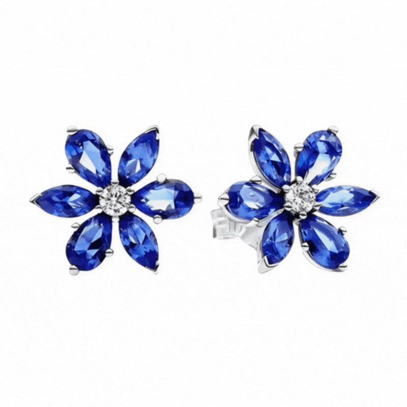 Boucles d’Oreilles