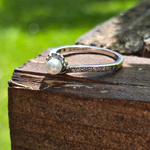 Plongez dans l'univers magique d'Ariel, la princesse sirène de La Petite Sirène, avec cette bague argentée ornée d'une perle. Fabriquée en argent 925, cette bague sublime une perle qui symbolise la mer, la beauté sous-marine et l'élégance intemporelle de la princesse. Ce design délicat et raffiné vous permet de porter un morceau du monde sous-marin d'Ariel, tout en célébrant son esprit libre et son amour pour l'aventure.