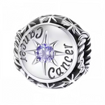 Affichez votre signe astrologique avec élégance grâce à ce charm rond dédié au Cancer. Orné d’une pierre violette brillante au centre, ce bijou en argent 925 combine finesse et symbolisme. Idéal pour personnaliser votre bracelet ou offrir un cadeau significatif à un passionné d’astrologie.