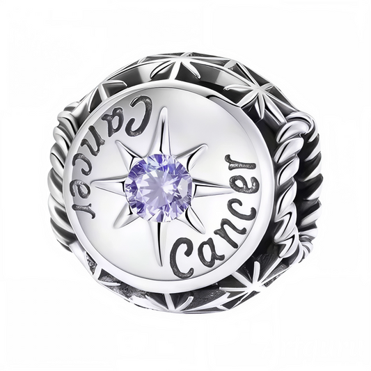 Affichez votre signe astrologique avec élégance grâce à ce charm rond dédié au Cancer. Orné d’une pierre violette brillante au centre, ce bijou en argent 925 combine finesse et symbolisme. Idéal pour personnaliser votre bracelet ou offrir un cadeau significatif à un passionné d’astrologie.