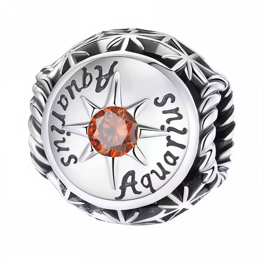 Affichez votre signe astrologique avec style grâce à ce charm rond dédié au Verseau. Orné d’une pierre rouge éclatante au centre, ce bijou en argent 925 allie élégance et symbolisme. Parfait pour personnaliser votre bracelet ou offrir un cadeau unique à un passionné d’astrologie.