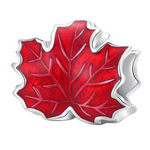Célébrez la beauté et l’esprit du Canada avec ce charm représentant la célèbre feuille d'érable, emblème national. Fabriqué en argent 925, ce bijou rend hommage à la nature majestueuse et à la culture unique du pays. Idéal pour les amoureux du Canada, les passionnés de nature ou les collectionneurs de symboles emblématiques, ce charm apporte une touche élégante et significative à votre bracelet ou collier.
