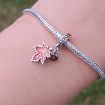 Célébrez la beauté de la saison avec ce Charm - Feuille d'Automne, en argent sterling S925. Ce charm délicatement conçu capture les nuances chaleureuses et les détails d'une feuille d'automne, symbole de changement et de beauté éphémère. Parfait pour ceux qui aiment la nature et les paysages enchanteurs de l’automne, ce charm apporte une touche d'élégance et de nostalgie à votre collection.