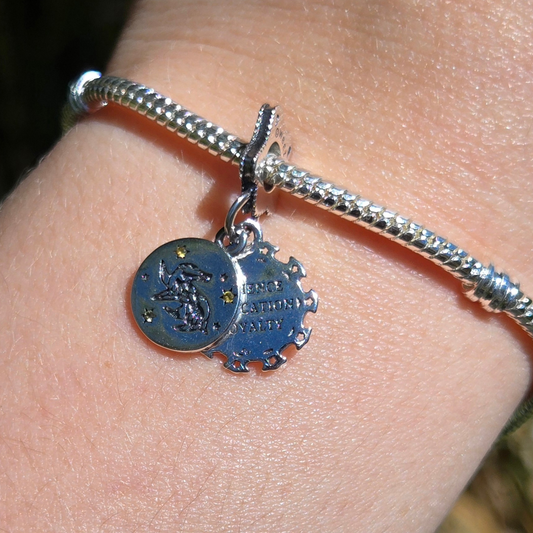 Montrez votre fierté pour la maison Poufsouffle avec ce charmant pendentif. Fabriqué en argent sterling 925, ce pendentif de haute qualité est orné du blason de Poufsouffle, mettant en avant le blaireau symbolique de la maison, connu pour sa loyauté et son travail acharné. Parfait pour les étudiants et anciens élèves de cette maison courageuse, ce pendentif capture l'esprit de justice et de détermination de Poufsouffle, ajoutant une touche de magie et de fierté à votre collier ou bracelet.