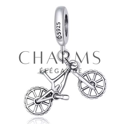 Charm – Dame auf Fahrrad mit Blumenstrauß