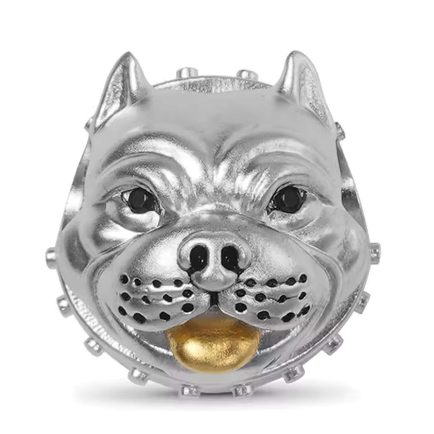 Charm Chien