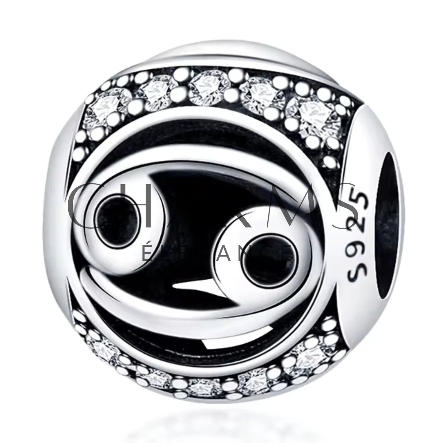 Charm - Signe Astrologique (12 Signes Astro Disponibles) | Version 1 - Charms Élégance