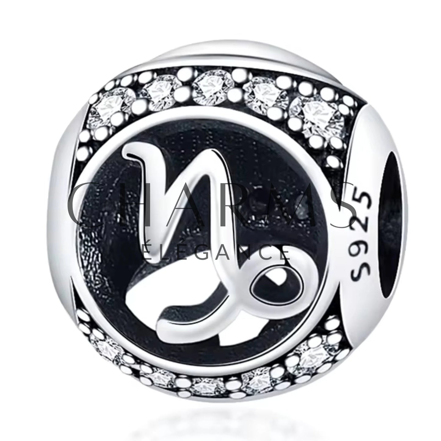 Charm - Signe Astrologique (12 Signes Astro Disponibles) | Version 1 - Charms Élégance