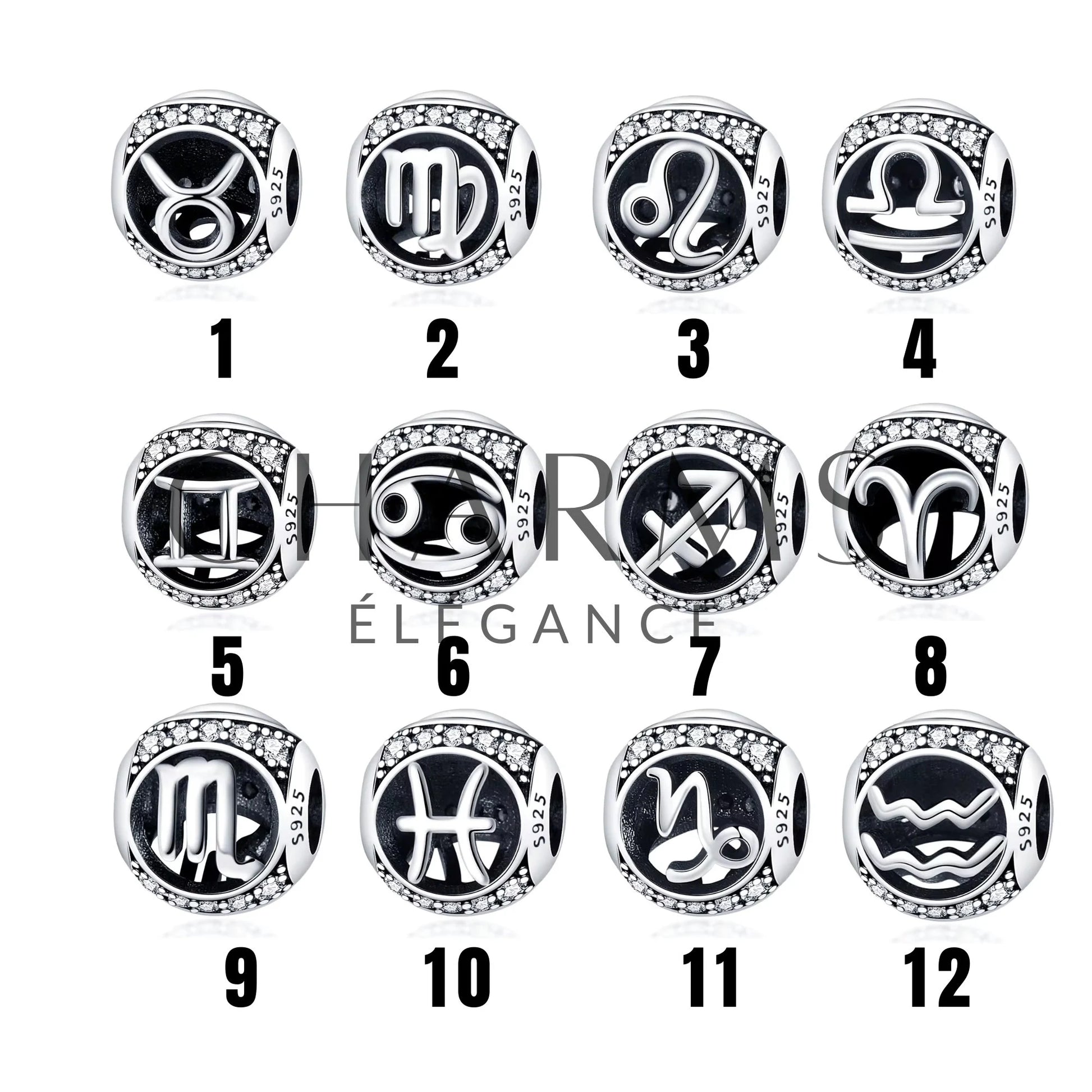 Charm - Signe Astrologique (12 Signes Astro Disponibles) | Version 1 - Charms Élégance