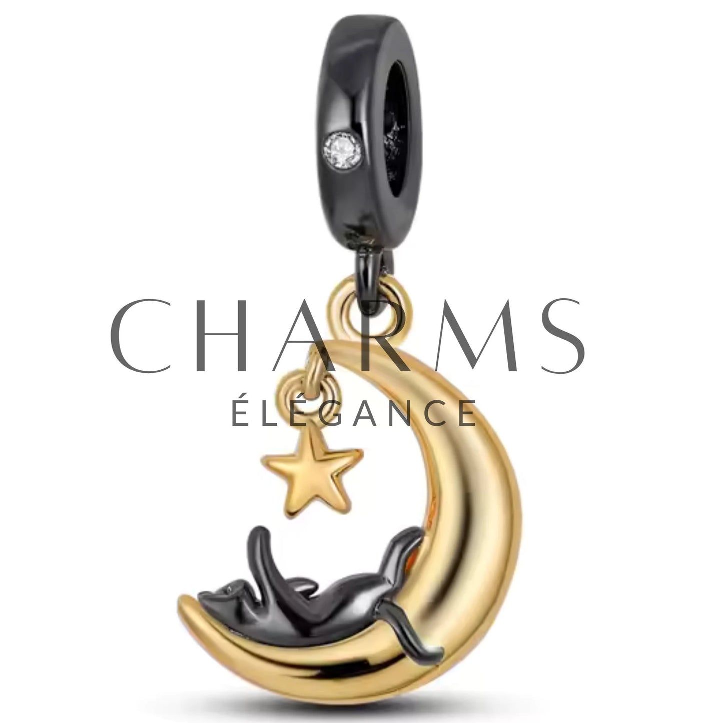 Charm - Chat Noir Or