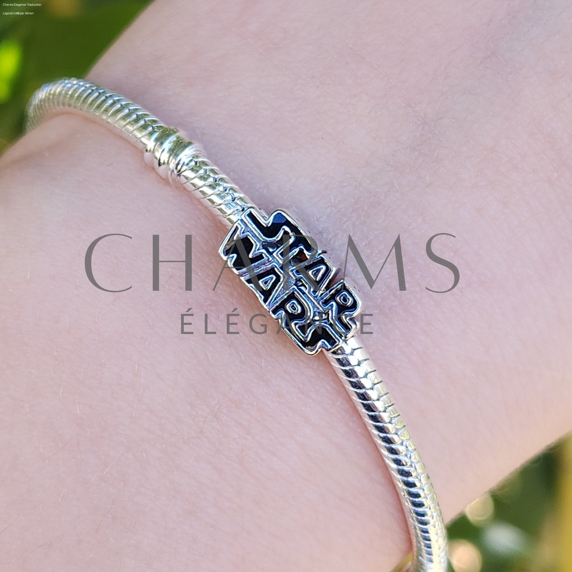 Charm - Logo Argent | Star Wars - Charms Élégance